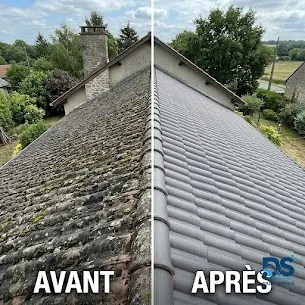 Toiture en tuiles envahie par la mousse, puis démoussée.